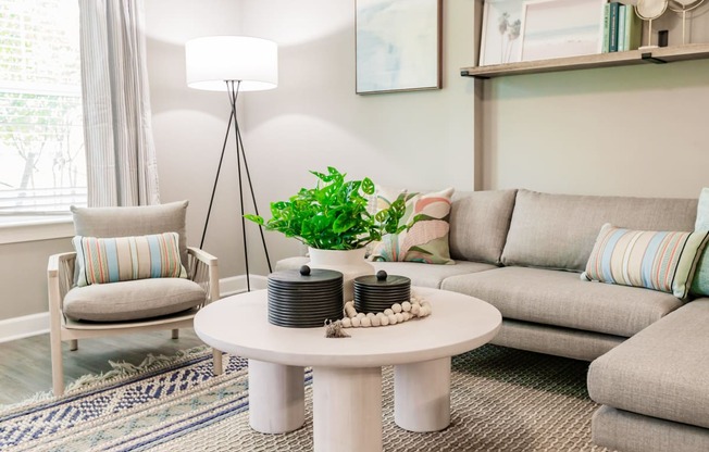 a living room with couches and a coffee table with a plant