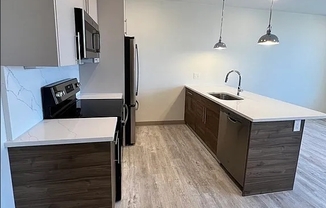 1 bed, 1 bath, $3,100, Unit Unit 205