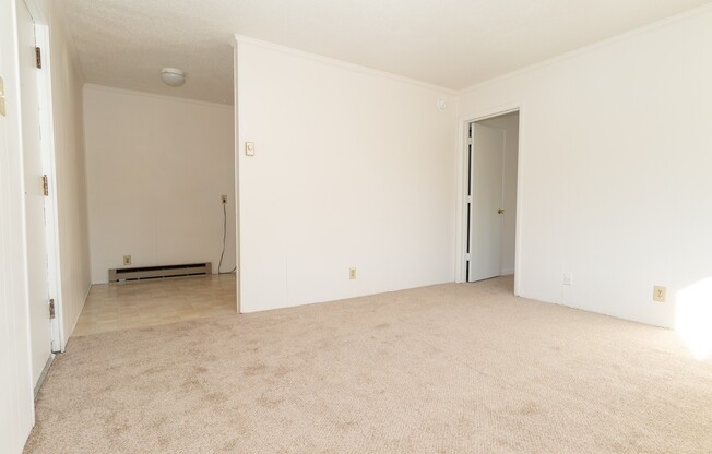 1 Bed 1 Bath Condo in Carrboro!