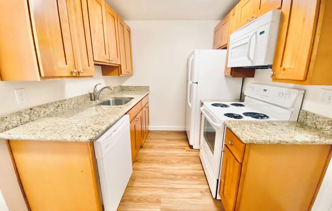 Studio, 1 bath, 459 sqft, $1,495, Unit 403