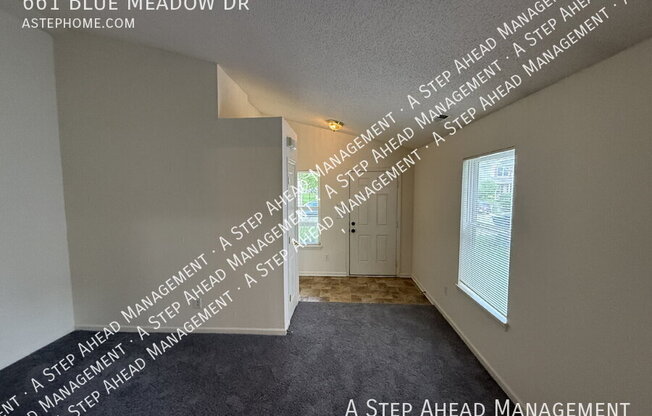 661 BLUE MDW DR