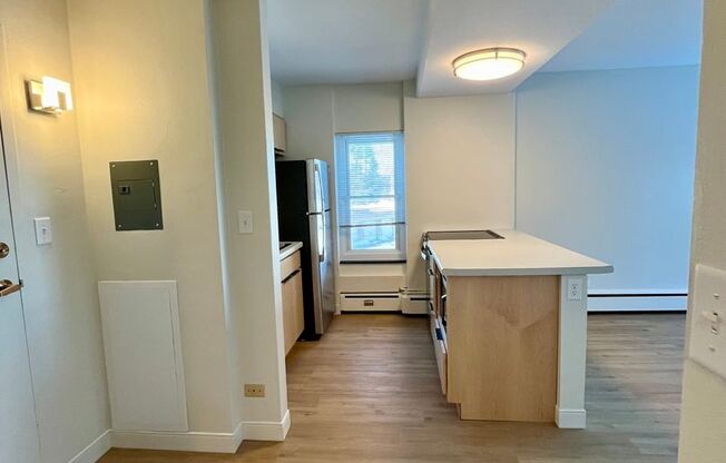 1 bed, 1 bath, 488 sqft, $1,250, Unit 203