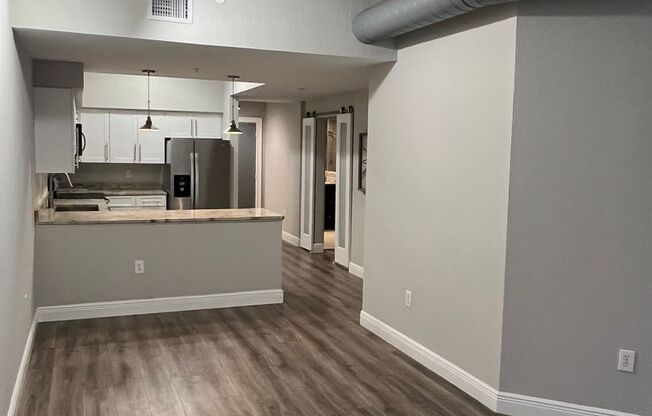 2411 W. Horatio St #514