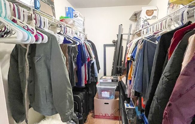 1 bed, 1 bath, $1,250, Unit Unit 913