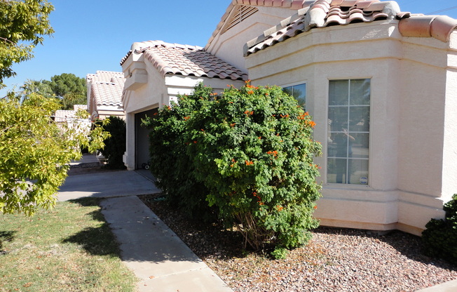 Great Home In The Springs