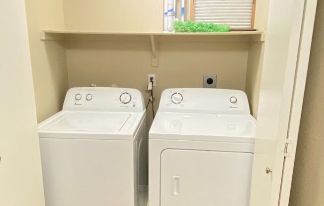 1 bed, 1 bath, $1,125