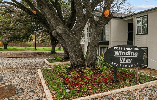 1 bed, 1 bath, 495 sqft, $1,275, Unit 216