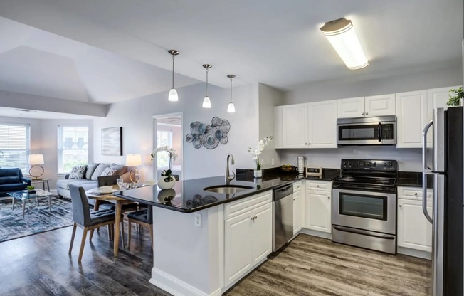 Modern Kitchen Opening to Living Room