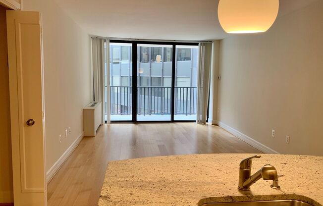 Studio, 1 bath, 440 sqft, $2,450, Unit 0303