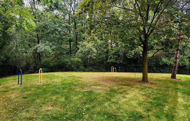 a park with a playground and a tree