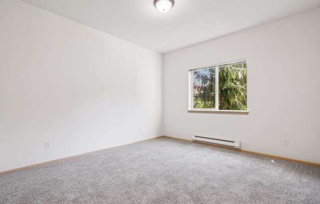 A bedroom with a carpeted floor and a window showing trees outside at The Madison Apartments in Olympia, WA