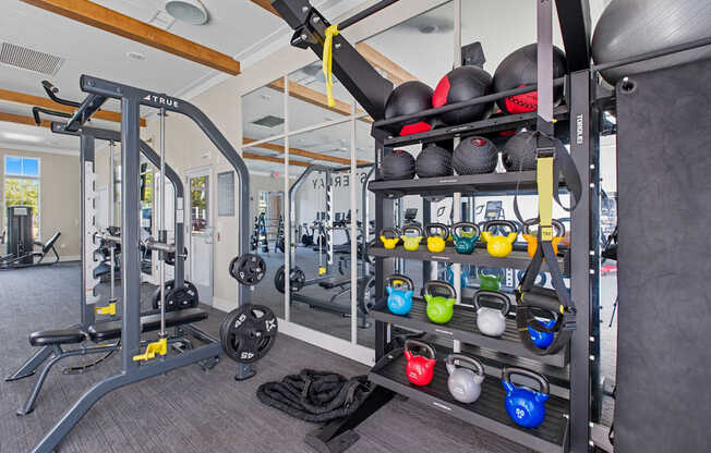 A gym with a variety of equipment including weights and a TRX suspension trainer.