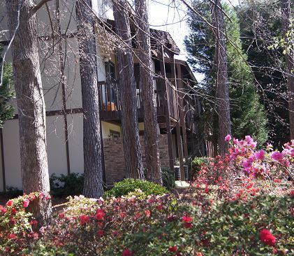 Cooper Creek Village