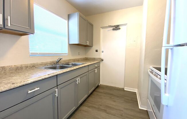 1 bed, 1 bath, $1,125