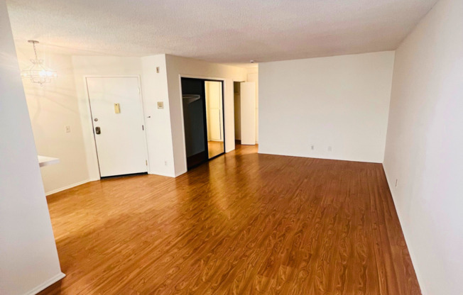 Studio, 1 bath, 500 sqft, $2,095, Unit 203