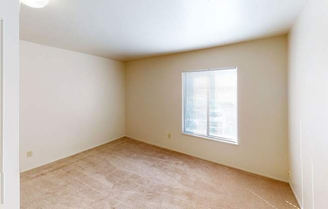 a bedroom with a window and a carpeted floor