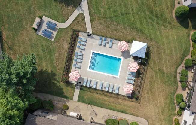 arial view of a swimming pool in a backyard with umbrellas