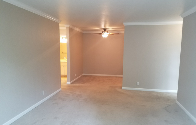 1 bed, 1 bath, $1,995