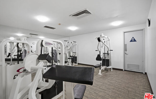 Studio, 1 bath, 481 sqft, $2,250, Unit 1409