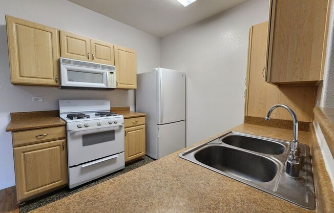 1 bed, 1 bath, $1,400