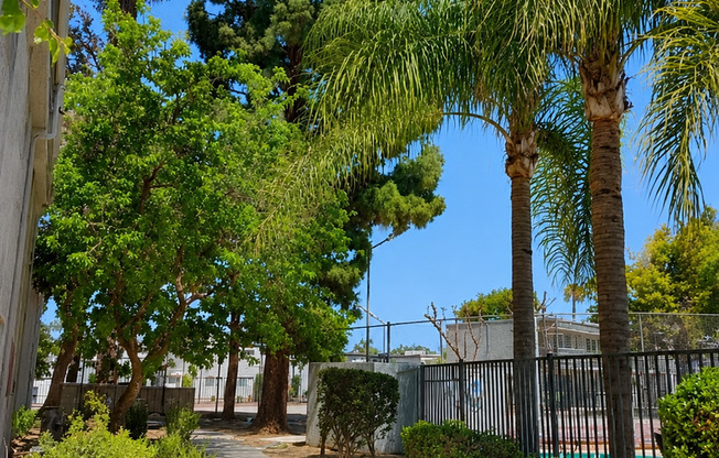 1 bed, 1 bath, 436 sqft, $1,795, Unit 24