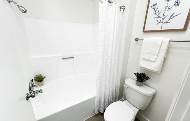 1 bed, 1 bath, 620 sqft, $2,095, Unit 0217