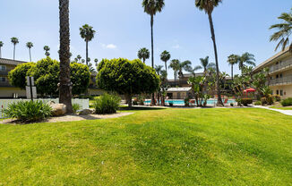 Coronado Palms