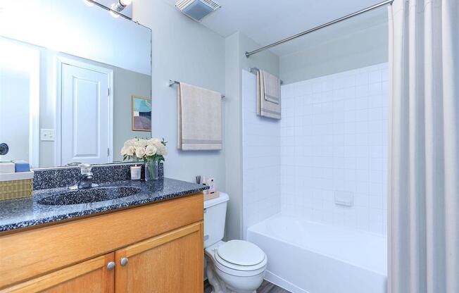 a bathroom with a sink toilet and bathtub