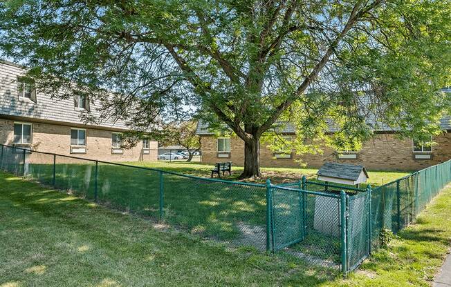 A tree in a yard behind a green fence.