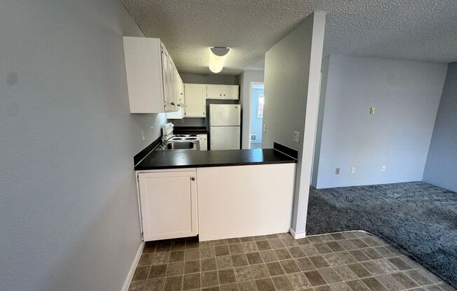 1 bed, 1 bath, $1,125, Unit 45