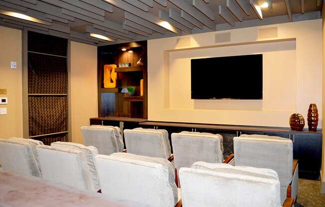 Movie theater with seating and TV