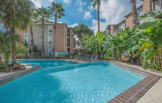 CATCH THE DAYTIME RAYS IN HOUSTON, TEXAS