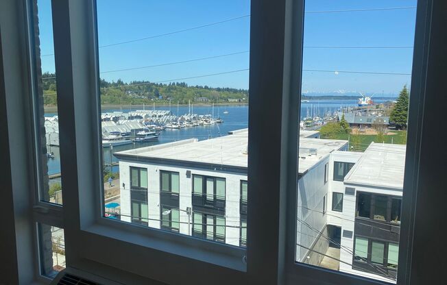 1 bed, 1 bath, 589 sqft, $1,825, Unit 504