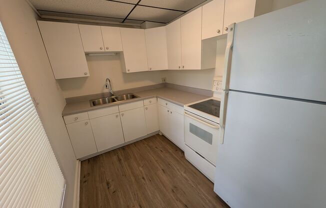St. Pete 2 Bed 2 Bath For Rent
