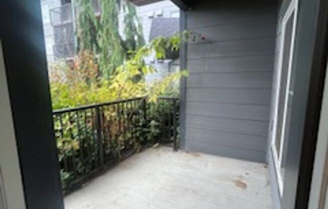 Studio, 1 bath, 501 sqft, $1,550, Unit 116