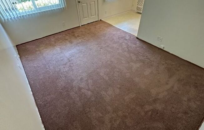 Soto 24409/APTS