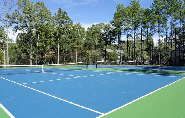 A tennis court surrounded by trees on a sunny day.