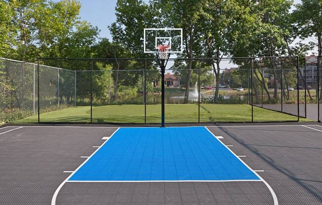 Basketball court and hoop