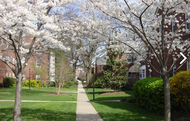 1 bed, 1 bath, $1,795, Unit # 6