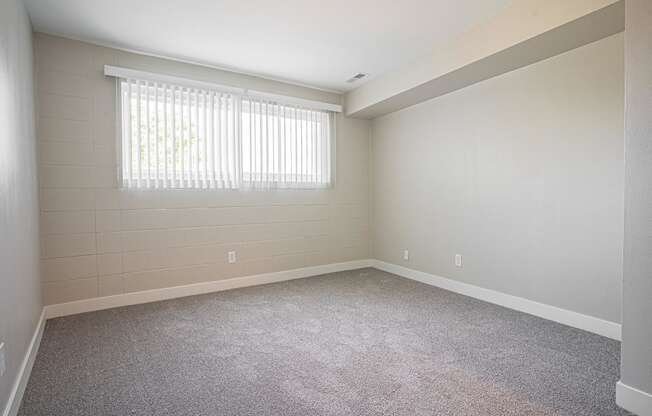 an empty living room with carpet and a window