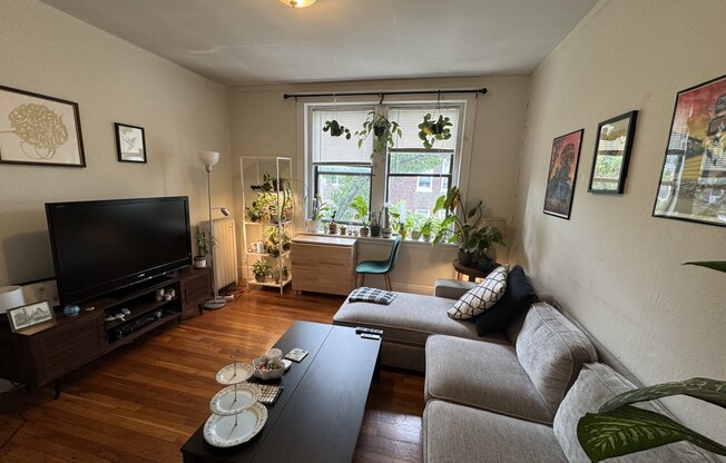 3 CAROL AVE