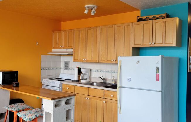 Holiday Manor Studio (Furnished) Electric, Water/Sewer Included