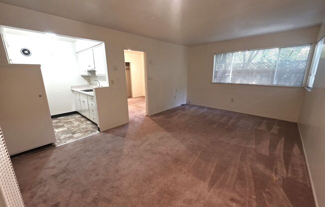 1-bdr just blocks from Downtown Berkeley