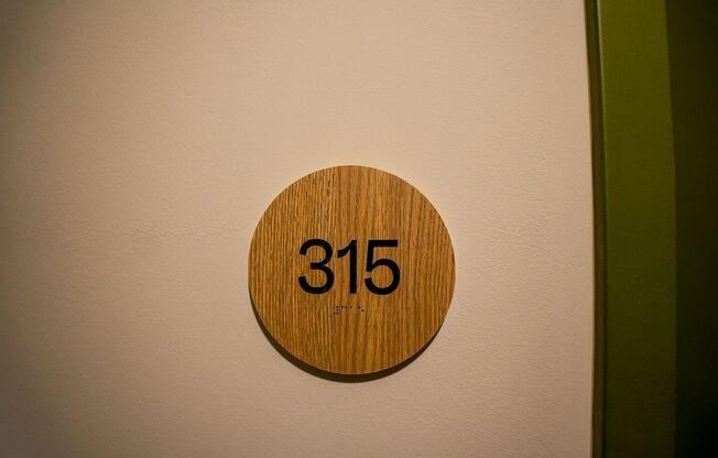 1 bed, 1 bath, 389 sqft, $3,020, Unit 315