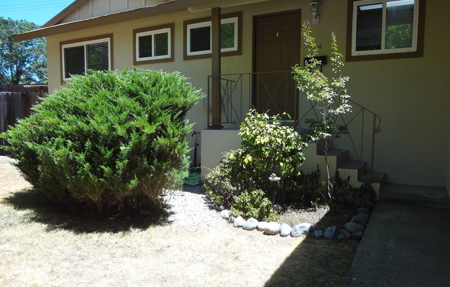 Huge Backyard in Folsom!