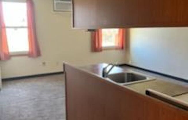 1 bed, 1 bath, 493 sqft, $650, Unit APT 4