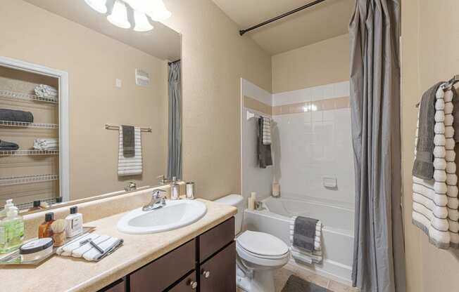 the preserve at ballantyne commons apartment bathroom with sink toilet and shower