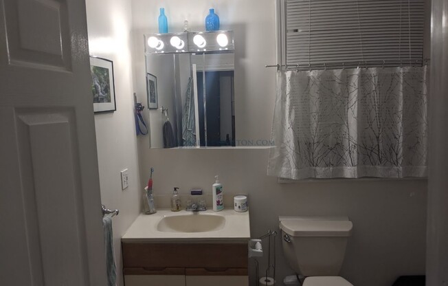 1 bed, 1 bath, $1,800