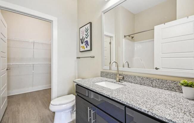 a bathroom with a sink and a toilet and a mirror at Link Apartments Innovation Quarter, Winston Salem