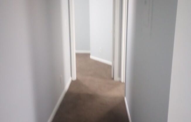 C3 - 2412 W. Muhammad Ali